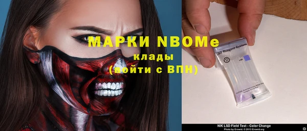 твердый Вяземский